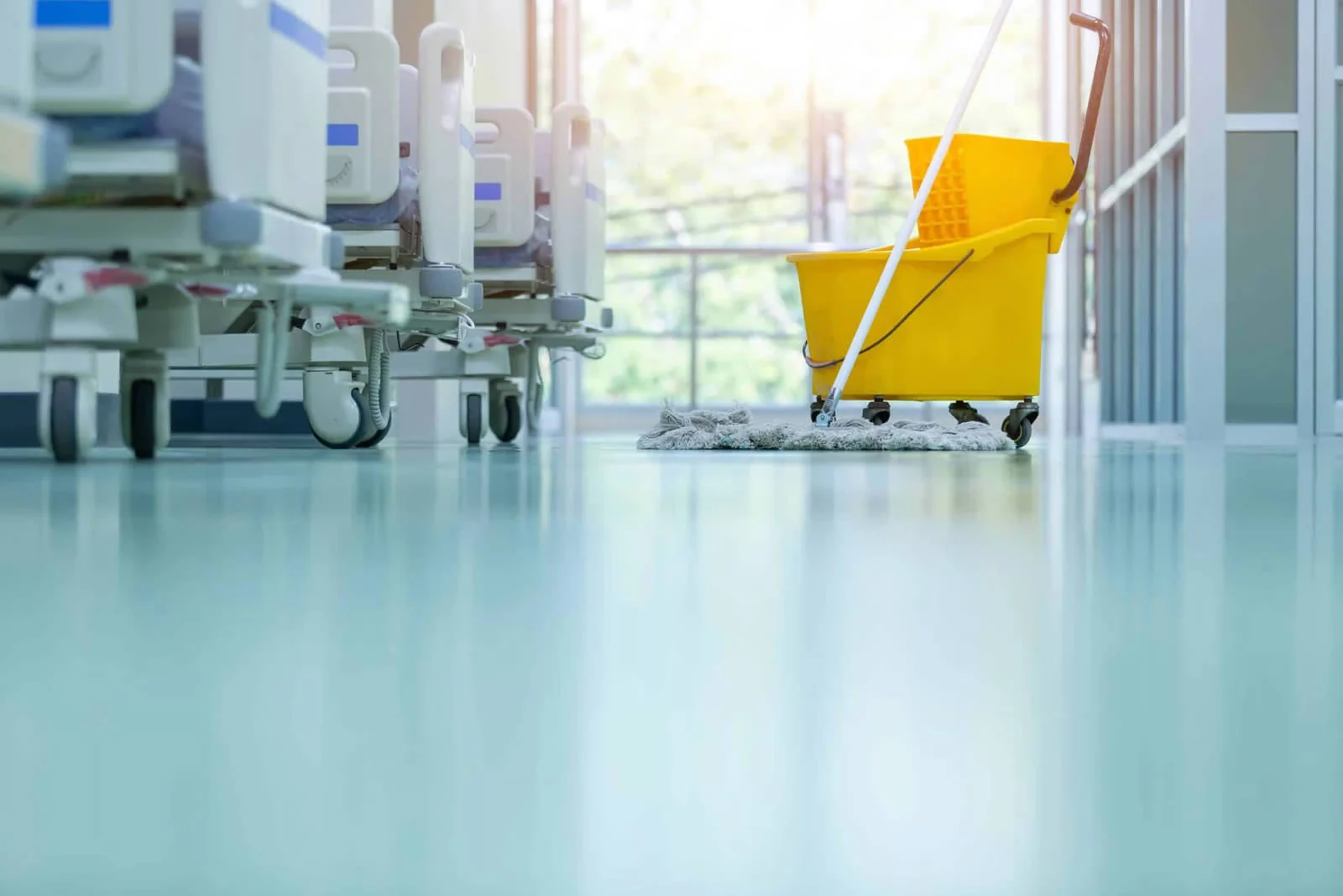 avm medical building cleaning services