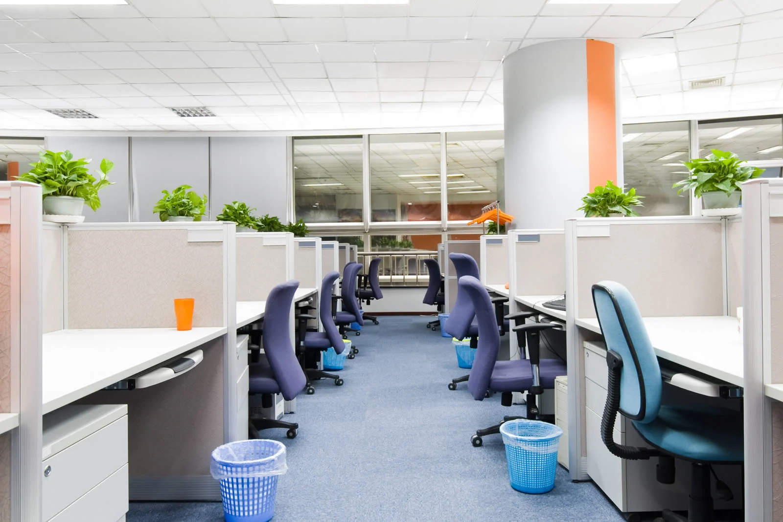 avm office building cleaning services