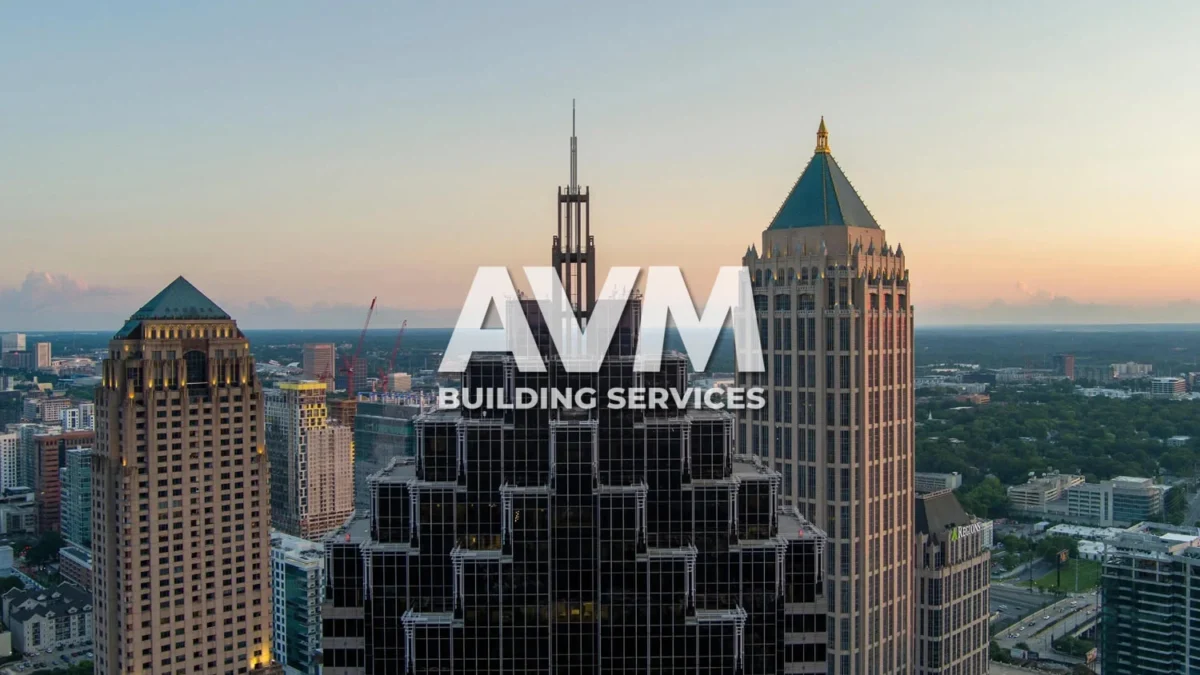 avm building services llc