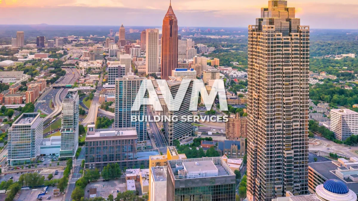 avm building services llc