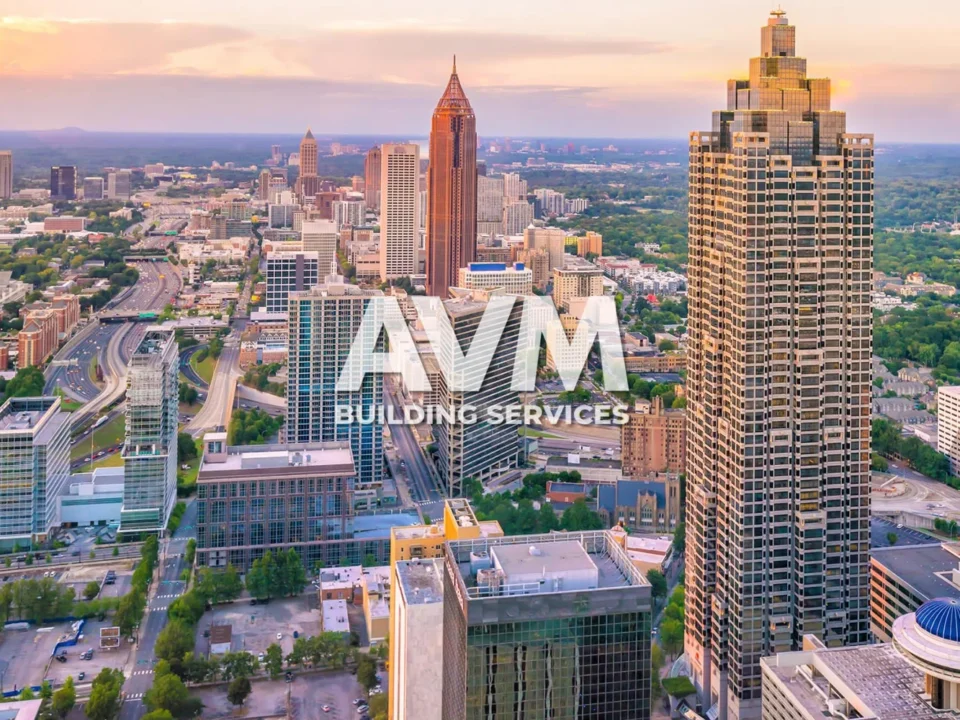 avm building services llc