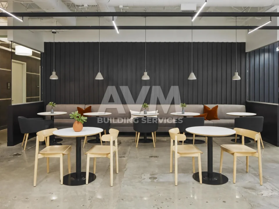 avm cleaning services
