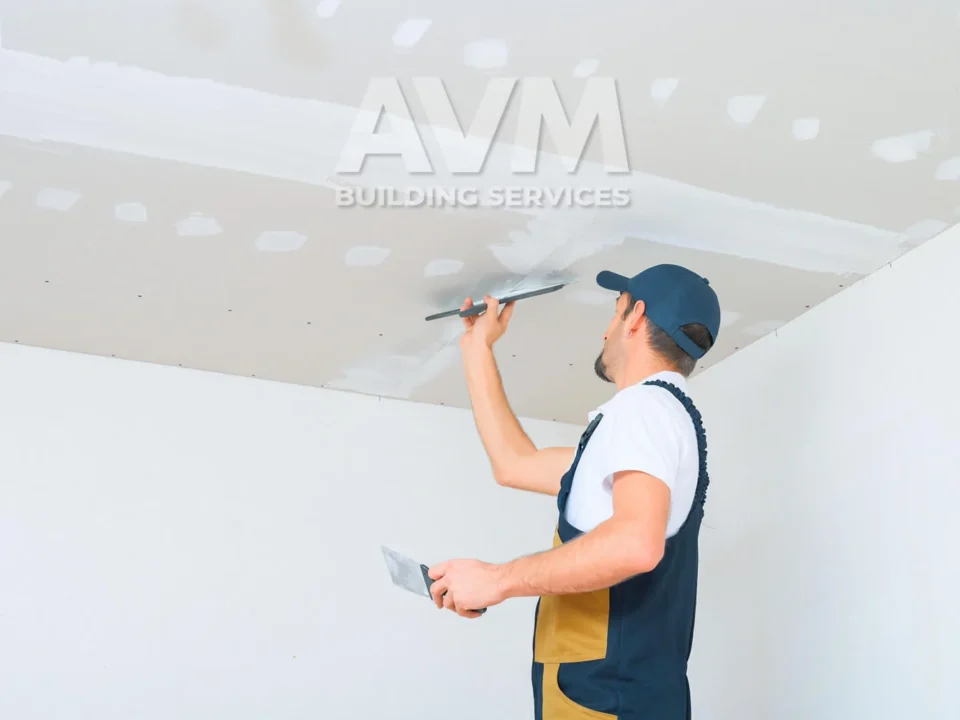 avm building services llc