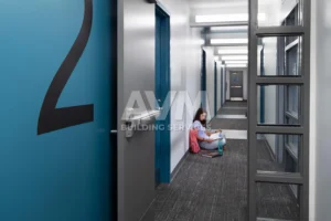 avm building services llc