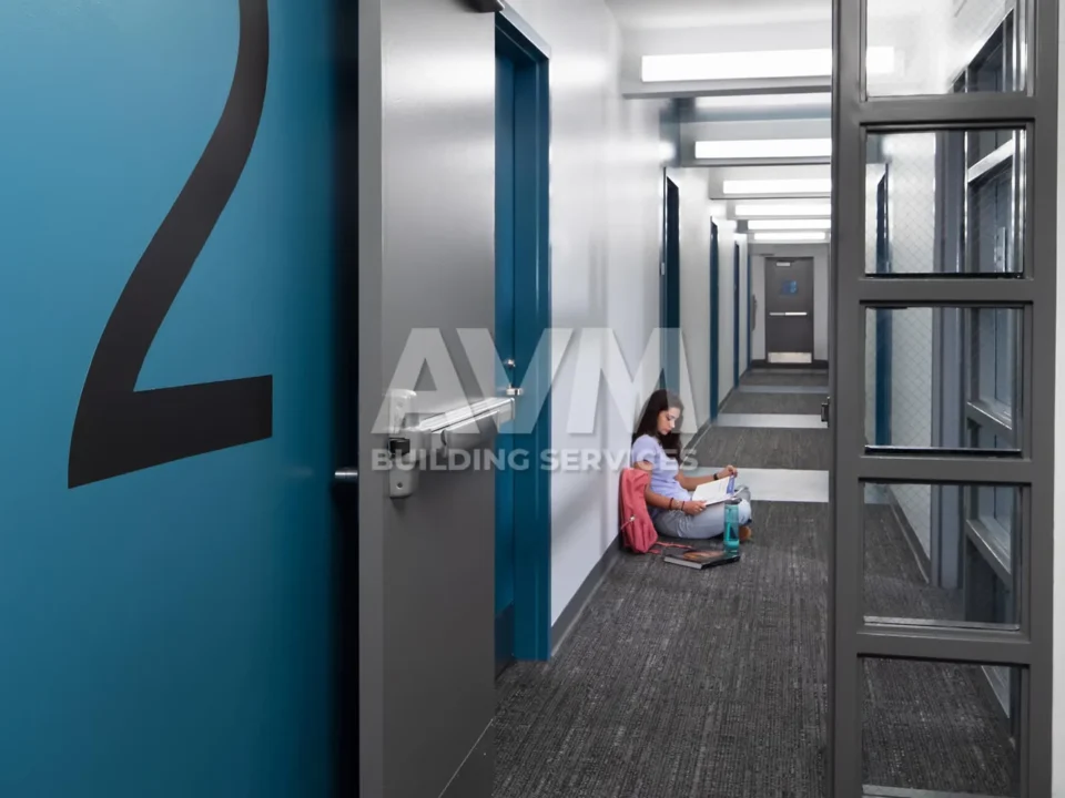 avm building services llc